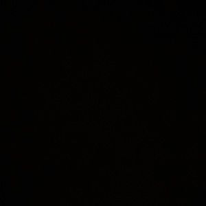 Meet your Posher, Damian